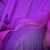 Beylikdüzü Yeni Bayan Escort Çiğdem - Image 2