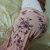 Avrupa Yakası Balıketli Escort Bayan Aysel - Image 4