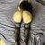 Beylikdüzü Güzeller Güzeli Escort Dora - Image 3