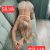Beylikdüzü Sarışın Escort Bayan Silva - Image 2
