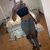 Avcılar Beylikdüzü Alımlı Bayan Escort Burcu - Image 6