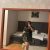 Avcılar Bayan Escort Jale - Image 2