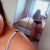 Beylikdüzü Sınırsız Escort Bayan Melek - Image 6